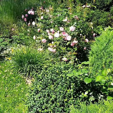 Aparament Brzozowisko Zelazno (Klodzko)