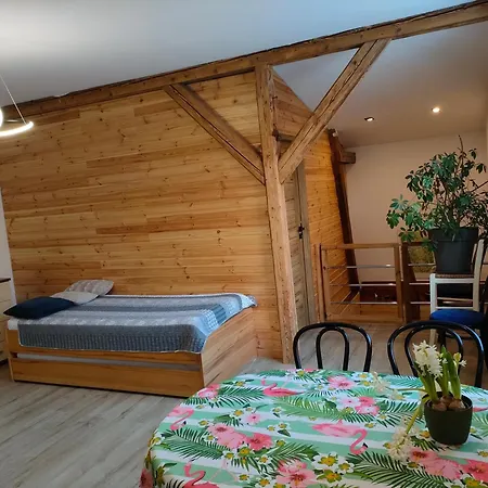 Aparament Brzozowisko 公寓