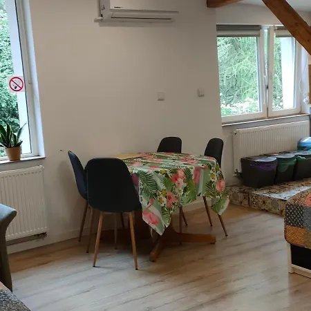 Aparament Brzozowisko 公寓 *