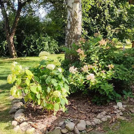 Aparament Brzozowisko * Zelazno (Klodzko)