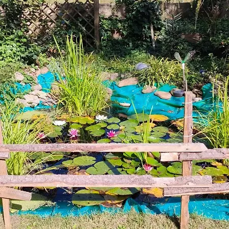 Aparament Brzozowisko