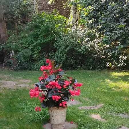 公寓 Aparament Brzozowisko