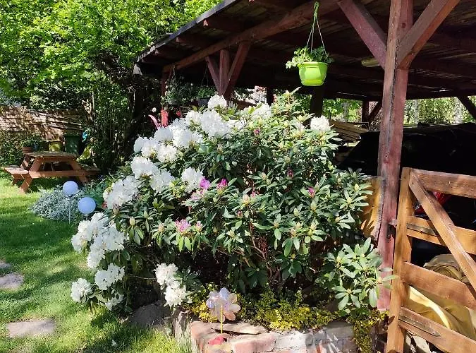 Apartmán Aparament Brzozowisko