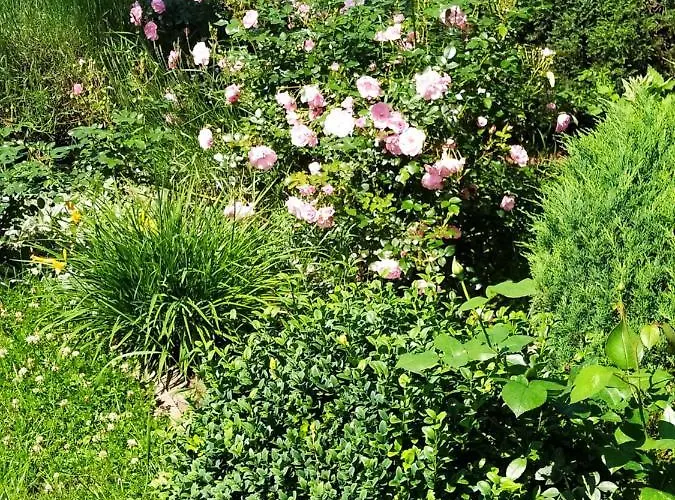 Aparament Brzozowisko Zelazno (Klodzko)