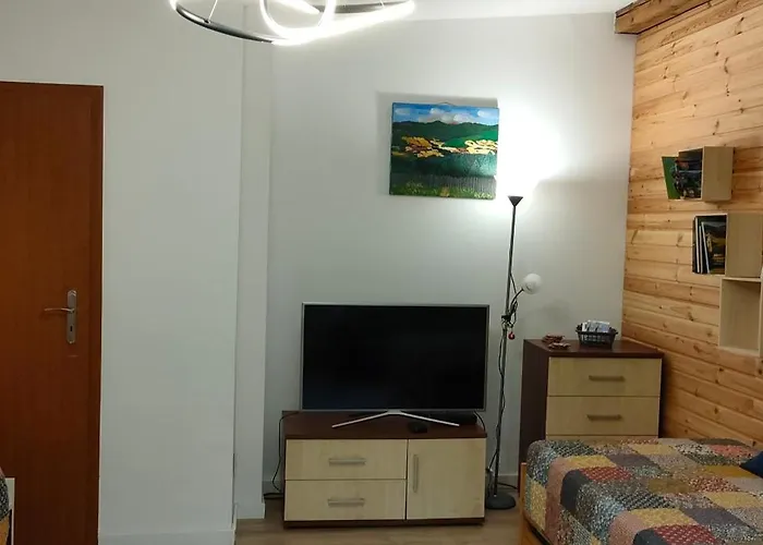 Aparament Brzozowisko * Zelazno (Klodzko)