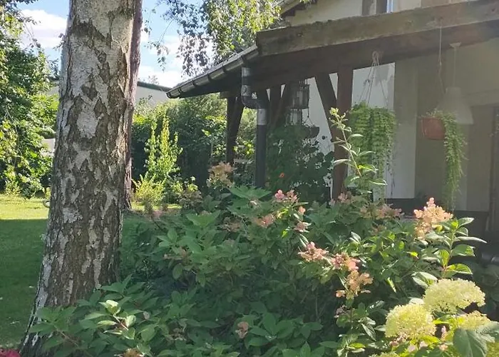 Apartmán Aparament Brzozowisko *