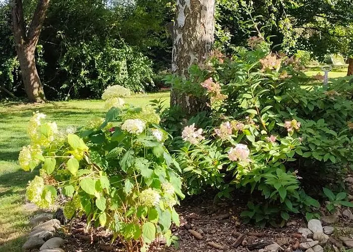 Aparament Brzozowisko * Zelazno (Klodzko)