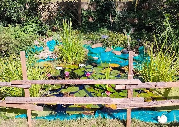 Aparament Brzozowisko